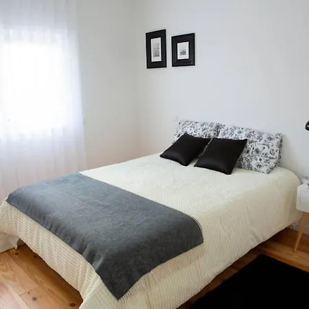 Casa Da Palmeira No Coracao De